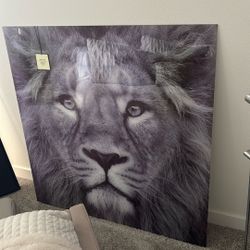 Glass Art Photography Veto D Arte