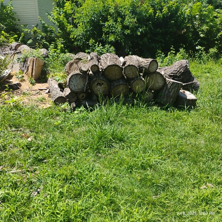 FREE FIREWOOD