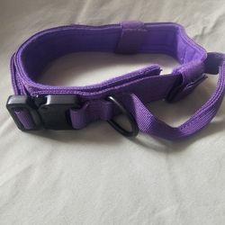 Dog Collar 