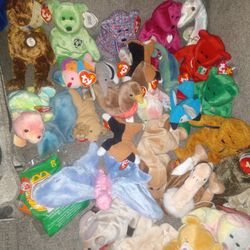 Beanie Baby Collection