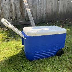 Coleman/igloo Coolers