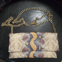 Steve Madden purse/clutch
