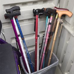 Assorted Walking Cans