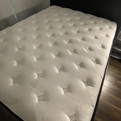 Brand New Queen Bedframe And Mattress 