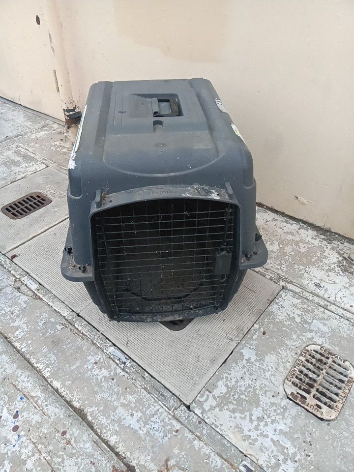 Dog Kennel