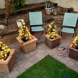 4 Two Feet Tall Yard Christmas Trees 🌲