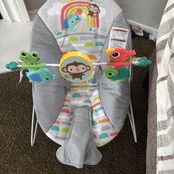 Baby Bouncer 