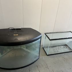 Aquariums & Reptile Tank