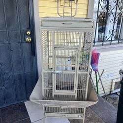 Bird Cage