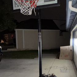 Lifetime Basketball Hoop