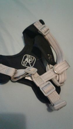 Leash