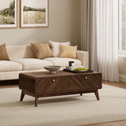 Theo mid-century modern walnut finish coffee table with storage ,IF2250