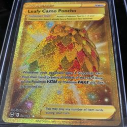 The Pokemon Cards