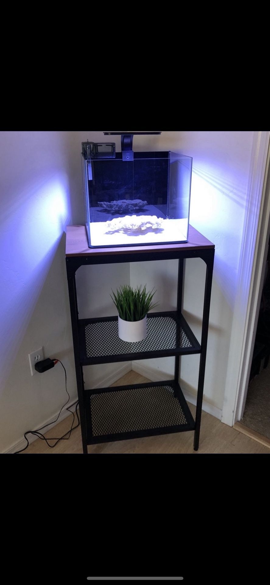 Rimless Aquarium