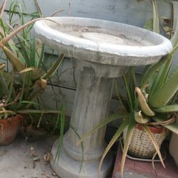 Bird Bath Stone Sturdy Heavy/Fuente De Pajaritos 