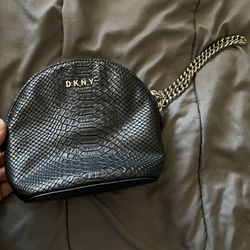 DKNY Purse