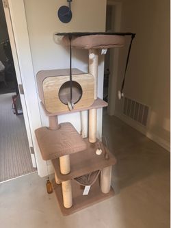 Cat Tree & Window Seat (if you want)