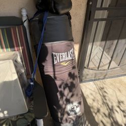 Everlast Boxing Heavy Bag + Gloves