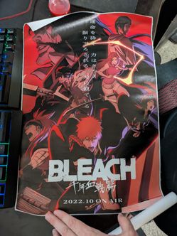 Bleach wall scroll