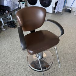 Salon/Barber Chair
