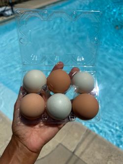 Eggs (Pasture raised)
