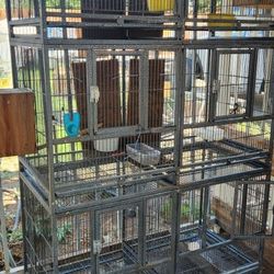 Bird Breeder Cages