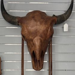 Leather Covered Skull