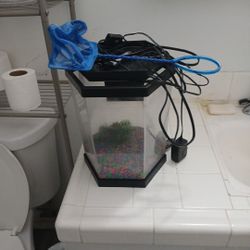 Small Fish Tank 