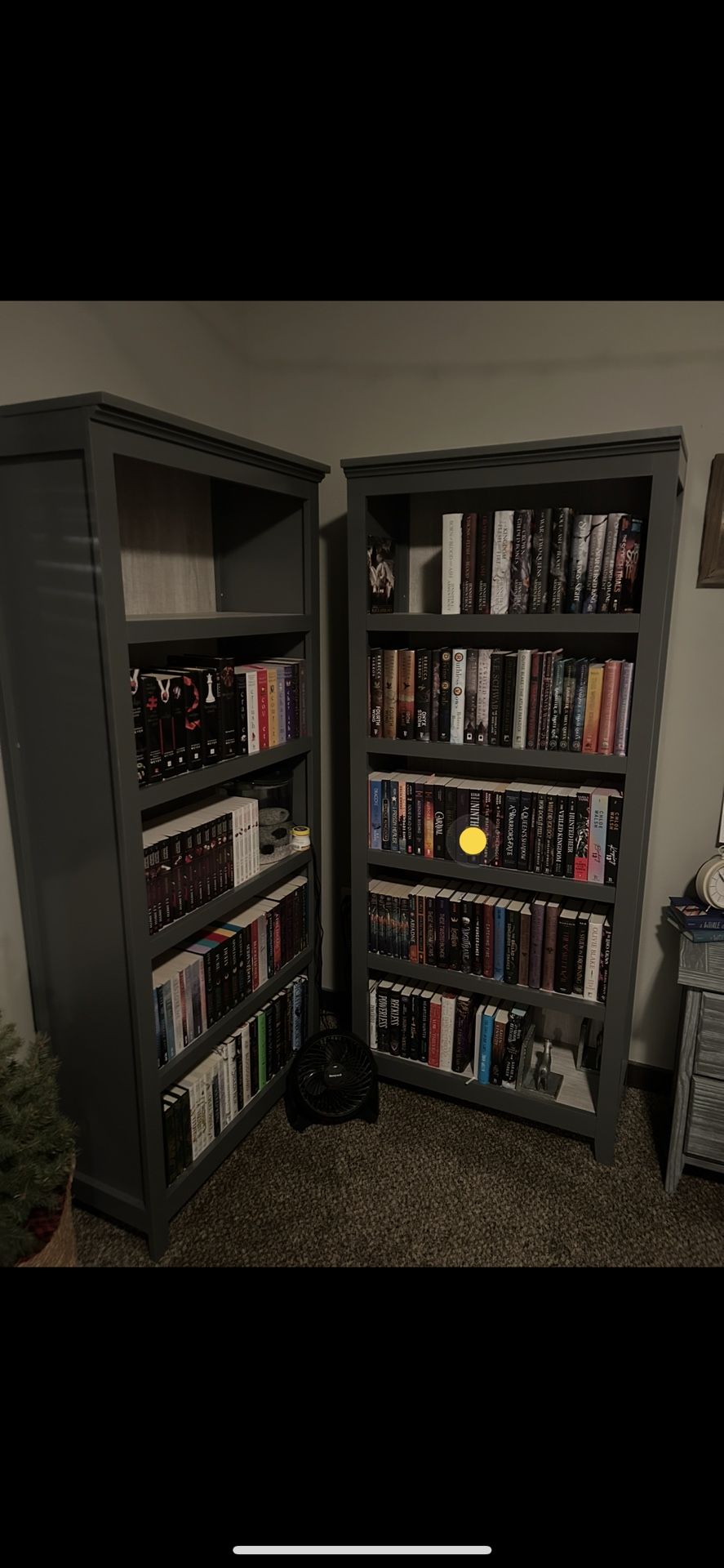 2 Gray Bookshelves
