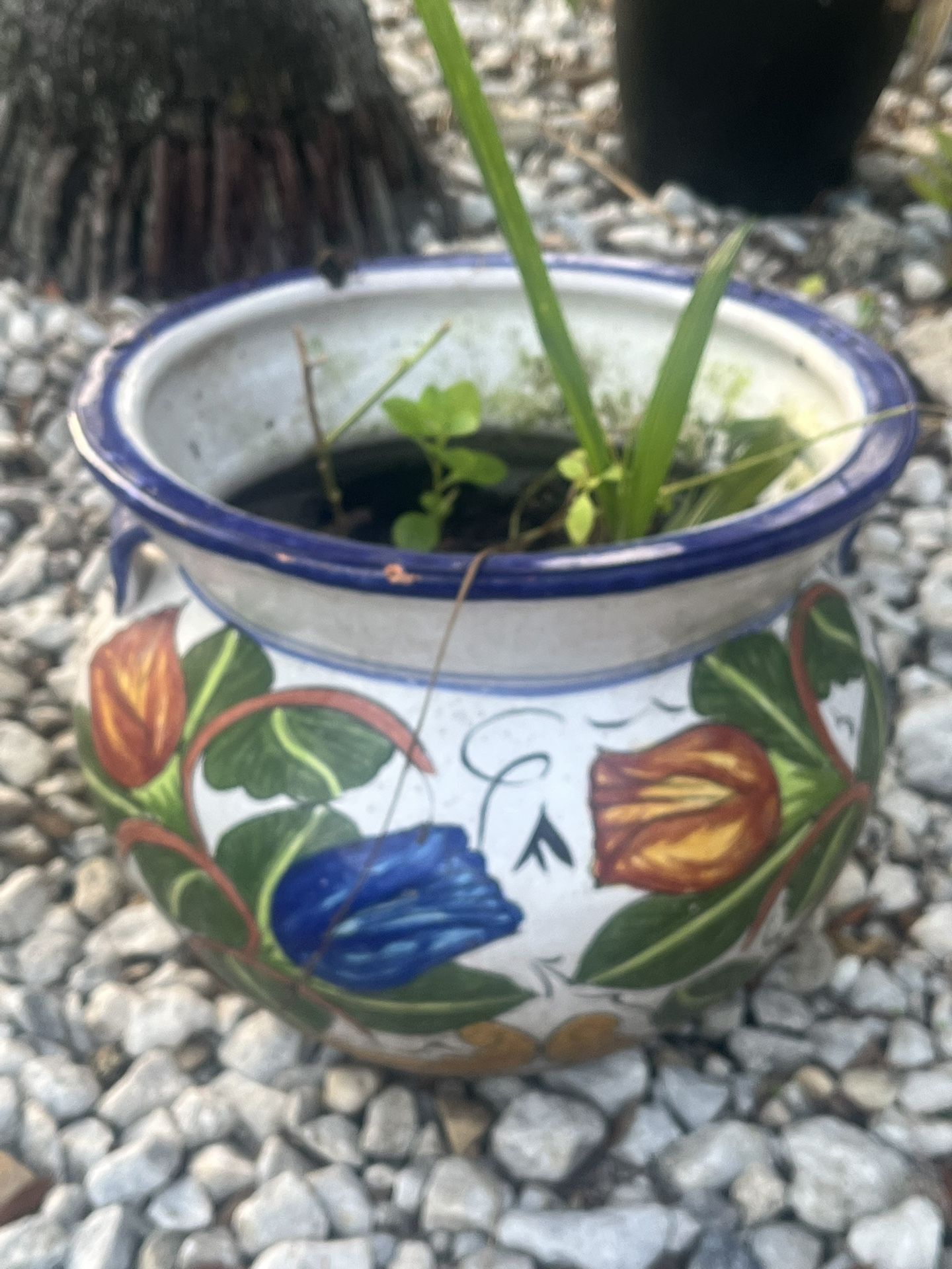 Beautiful Ceramic Garden Pot 13x11