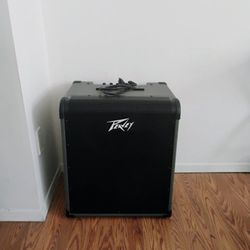 Peavey MAX 300 Watt Bass Amp