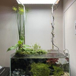 Prebuilt 5G UNS AQUARIUM - with tons of stuff included!!