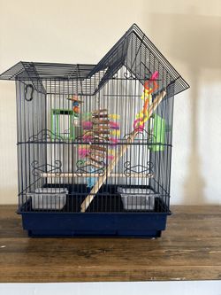 Bird Cage & Accessories