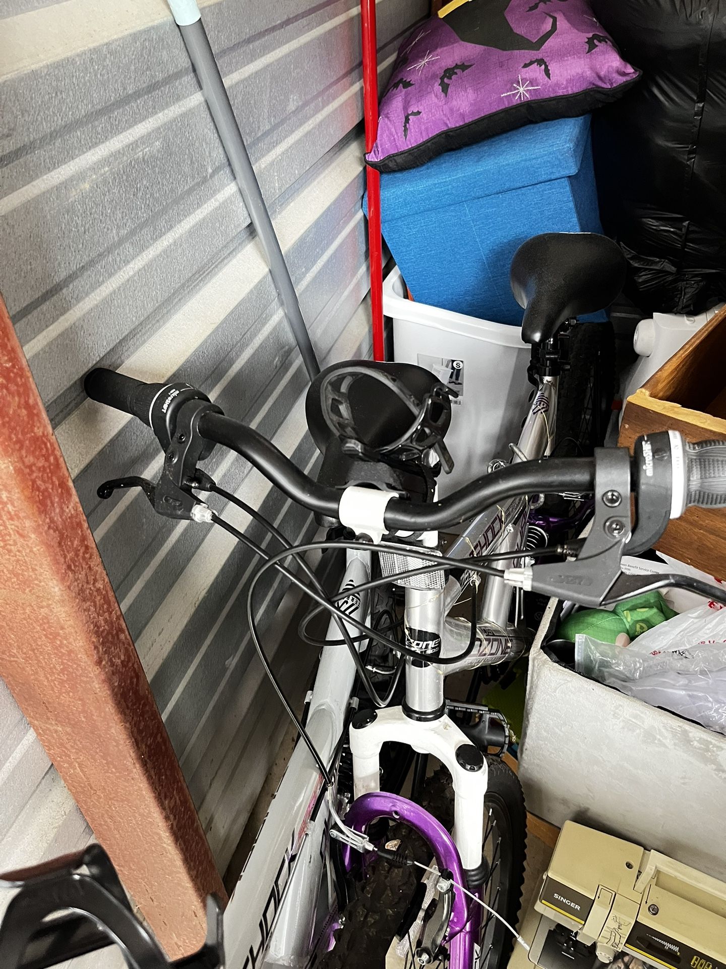 Adult Bikes