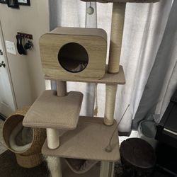 Cat Tree