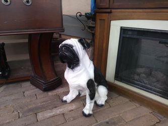 Large Dog