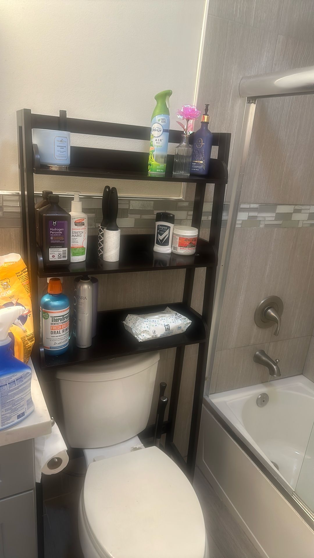 Storage Shelf On Top Of toilet