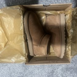 Uggs Brand New In Box 
