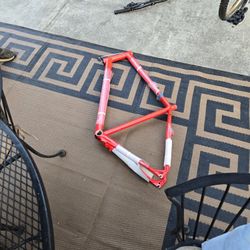 Specialized Bike Frame And Rims With No Spokes