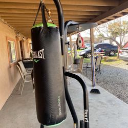 Heavy Bag And Speed Bag