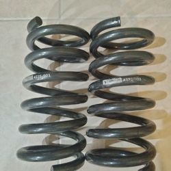 Lowering Springs