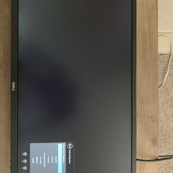 Dell 24in Monitor (No Stand)