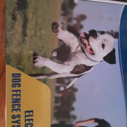 Electric Dog Fence System