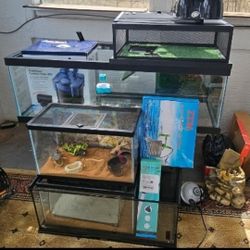 5 Aquariums/ Turtle Tank  With Basking Enclosure Filter And Gear