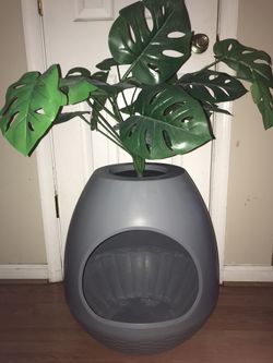 Cat Litter Box