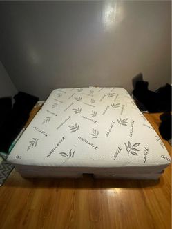 Couches and beds for sale