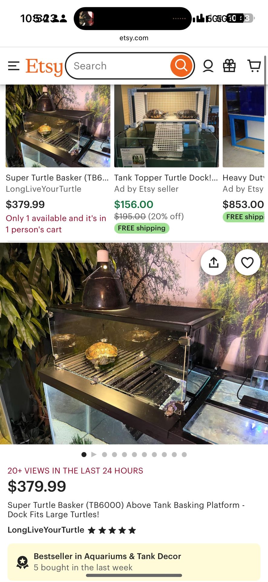 Large Turtle Basking Platform