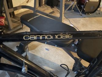 Cannondale 10 Speed