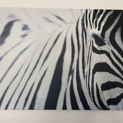 IKEA Pjatteryd Zebra Photo wall art