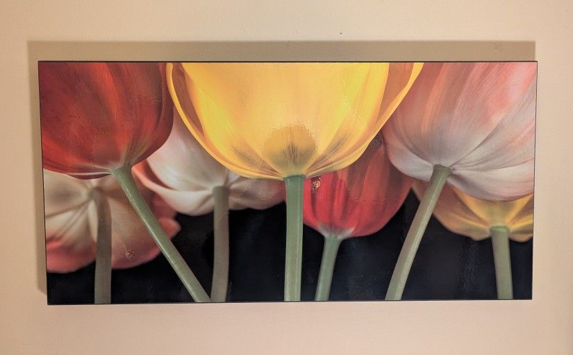 Beautiful Flower Picture!